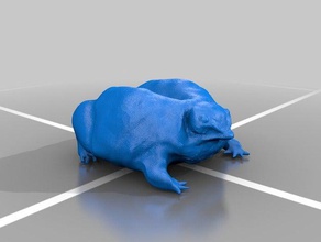 mor kurbağa biyoloji natur doğa 3d print model - Mito3D