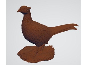 rooster pheasant scans replicas 3d scan bird wildlife 3d print model - Mito3D