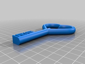 iris Schlüsselanhänger angepasst 3d print model - Mito3D