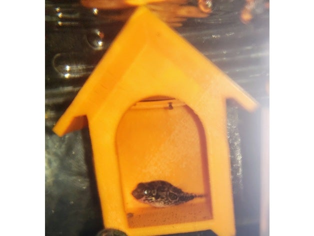 pesce gamberi lumaca casa hobby l'acquario nano pea puffer piccolo 3D print model - Mito3D
