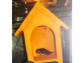 pesce gamberi lumaca casa hobby l'acquario nano pea puffer piccolo 3d print model - Mito3D