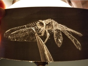 dragonfly lithophane 2d art led nightlight photography 3d print model - Mito3D