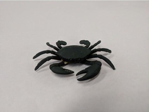 crab animals 3d scan mudcrab scrabble tiles toy 3d print model - Mito3D
