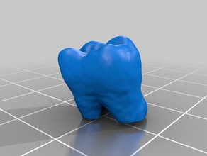 teeth library lower jaw sculptures 3d print model - Mito3D
