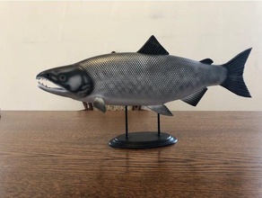 fish salmon family biology 3d print model - Mito3D