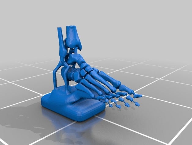 bones300 precent bbigger prusa mk 3 gcode sculture 3D print model - Mito3D