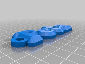 my customized name keychain peta organization 3d print model - Mito3D