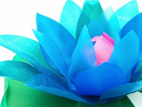 water lily hidden secret art flower gift love opening container valentine valentines day gifts waterlily 3d print model - Mito3D