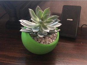 desk planter household plant pot succulents succulent holder 3d print model - Mito3D
