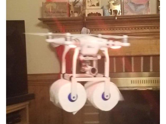 drone tp delivery system rc vehicles 3D print model - Mito3D