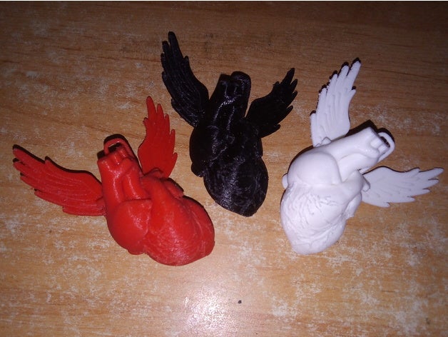 coração alado a moda anatomia coronária 3D print model - Mito3D