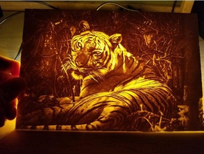 tiger lithophane 2d art cat florida zoo led de naples veilleuse 3d print model - Mito3D