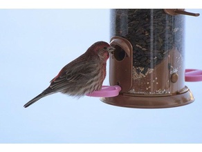 tubo alimentador do pássaro poleiro anel ao ar livre jardim birdfeeder aves 3d print model - Mito3D