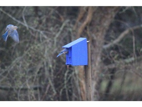 bluebird casa all'aperto giardino birdhouse uccelli uccello blu bluebirds creality ender 3 pro 3d print model - Mito3D