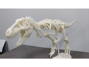 t-rex esqueleto 3d impresión 3d print model - Mito3D