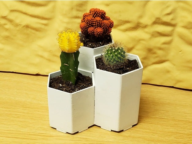 simple hexagon planter biology cactus flower pot vase 3D print model - Mito3D