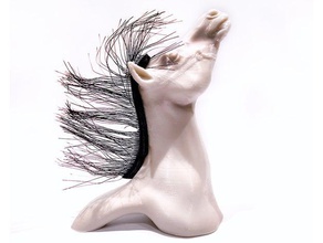 sua majestade o cabelo decoração cavalo árabe 3d print model - Mito3D