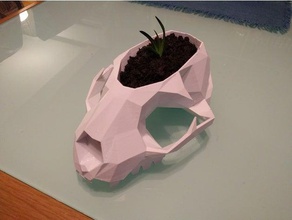 polygonal lynx skull pot outdoor garden succulent 3d print model - Mito3D