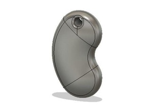 kidney key ring keychains keyring 3d print model - Mito3D