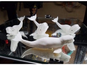 beluga-tastic zwei neue Posen Tiere beluga Wal 3d print model - Mito3D