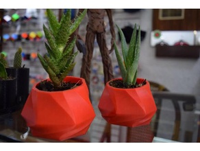 hepta pot passe-temps accesorio cactus en la casa diseo de mode jardin maceta planta plantas 3d print model - Mito3D
