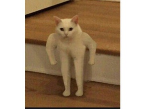 bodybuilder meme cat standing v1 animals autodesk cura dank memes funny internet meshmixer pla rec3d reddit ultimaker 2 3d print model - Mito3D