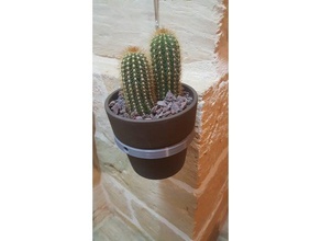 cintre de pot bureau cactus fleur 3d print model - Mito3D