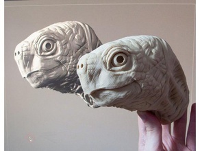 cabeza de tortuga a los animales realista 3d print model - Mito3D