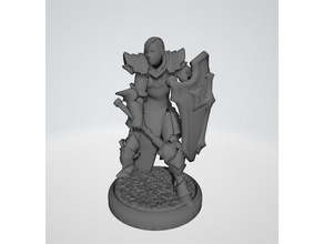 rpg miniature paladin cleric toy game accessories dd dnd pathfinder tormenta 3d print model - Mito3D
