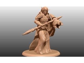 elf blood paladin - tabletop miniature toys & games 28mm dnd dungeons dragons fantasy mini miniatures pathfinder toy wargaming warhammer world warcraft wow 3d print model - Mito3D