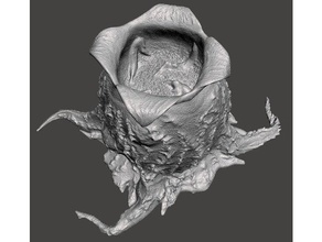 alien facehugger de huevo 3d impresión 3d print model - Mito3D