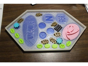 cellule végétale de puzzle la biologie animale l'enseignement à domicile des sciences vapeur tige 3d print model - Mito3D