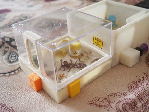 arena modular ant farm pets antfarm ants formicarium 3D print model - Mito3D