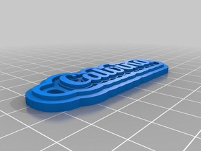 my customized multilincalvinae tag keychain signs logos 3d print model - Mito3D