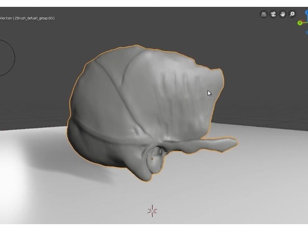 Schläfenbeins 3d drucken Knochen Schädel 3D print model - Mito3D