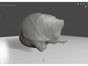 hueso temporal 3d la impresión de los huesos cráneo 3d print model - Mito3D