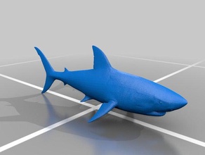 shark arte 3d print model - Mito3D
