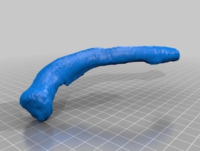clavicula andere dex menschlichen Körper Medizin Oberhand 3d print model - Mito3D