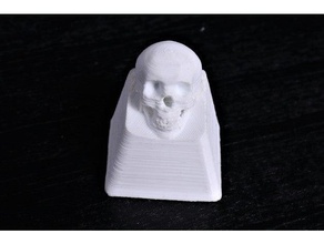 cranio chiave cap computer tastiera keycap 3d print model - Mito3D