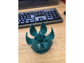 blooming flower gift box middle finger other 3d print model - Mito3D