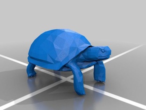 tortoise animals 3d print model - Mito3D