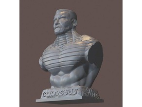 colossus bust people action figure blender collectible comic deadpool fanart marvel comics universe superhero 3d print model - Mito3D