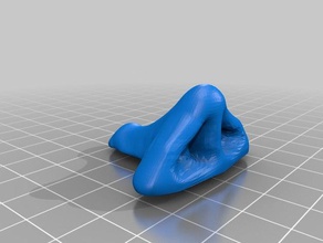 nez gros sculptures 3d print model - Mito3D