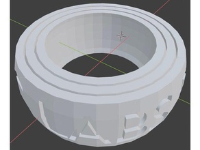 aws iot prototyping labs ring other 3d print model - Mito3D
