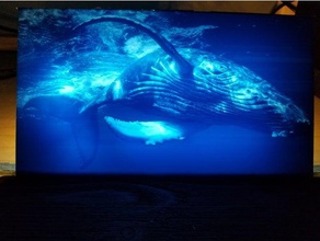 kambur balina lithophane 2d sanat led doğa gecelambası okyanus açık deniz 3d print model - Mito3D
