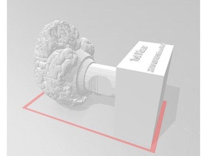 1er lugar cerebro trofeo 3d la impresión trivia 3d print model - Mito3D
