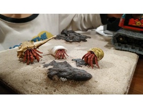 un cangrejo ermitaño los animales 3d print model - Mito3D