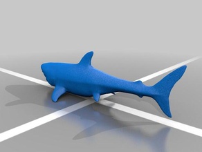 livbits grande squalo bianco biologia 3d print model - Mito3D