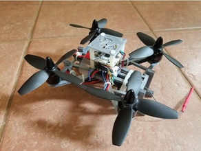 uçan sincap rc araç mini quadcopter 3d print model - Mito3D