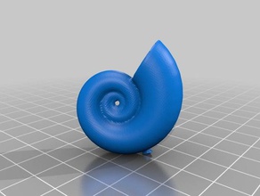 shell biología 3d print model - Mito3D